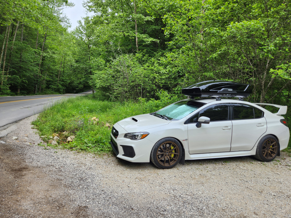 Rogelio R's 2019 WRX STI