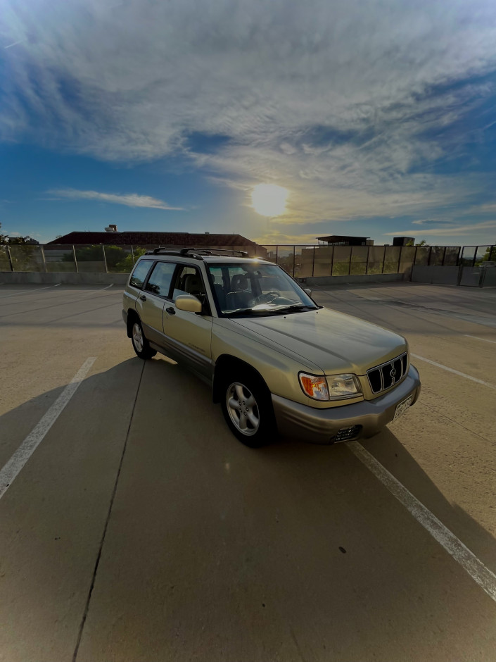 reid W's 2002 Forester S