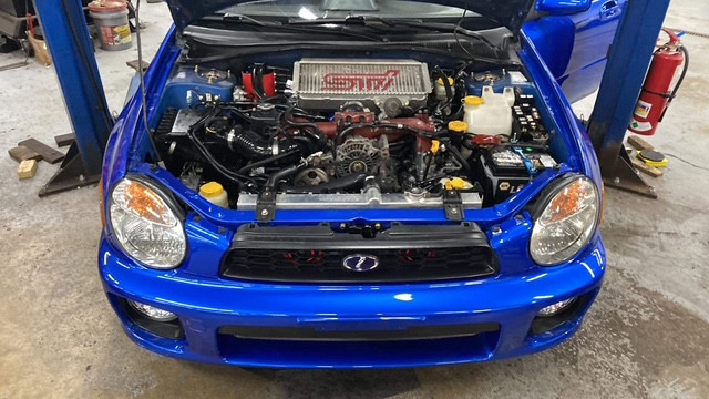Jenn Stratton's 2002 Impreza WRX WRX WRX