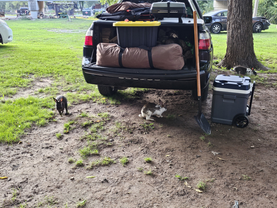 Richard Eggers's 2006 Baja Turbo