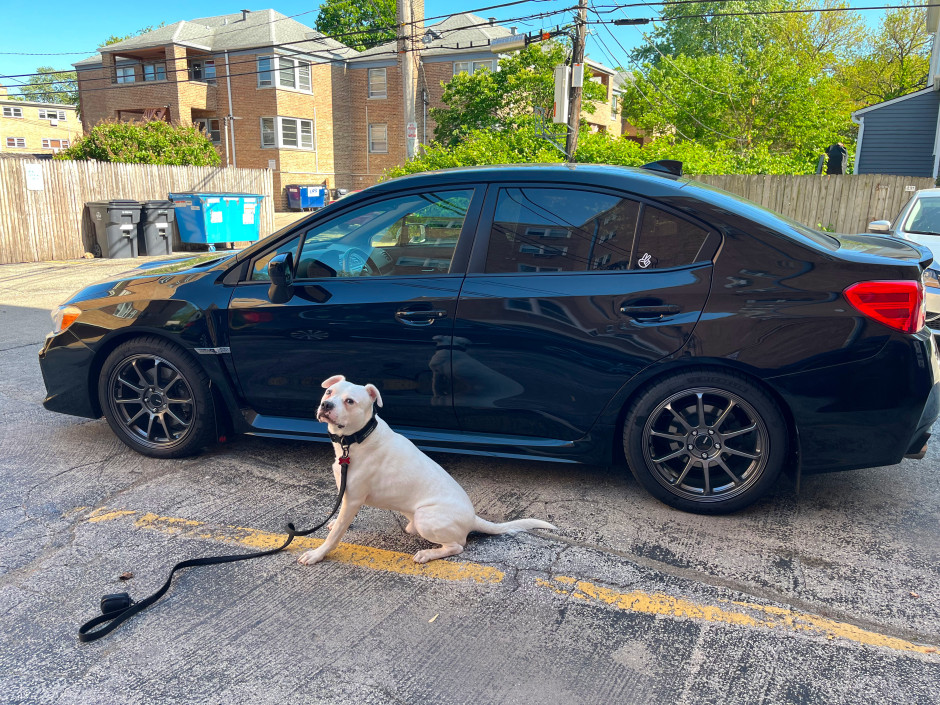 Damir G's 2019 WRX L L