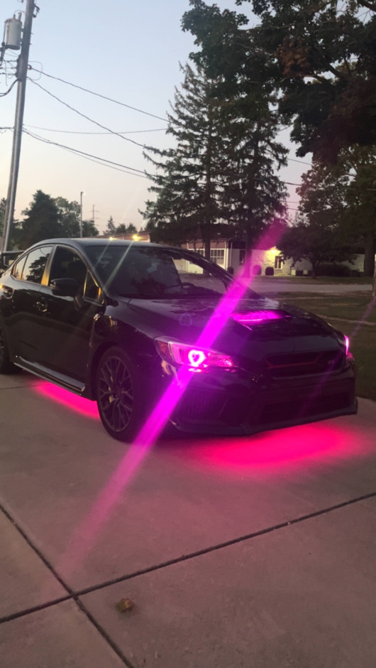 Danielle S's 2018 WRX STI Limited