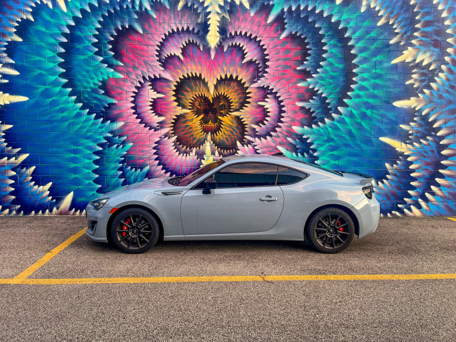 Paola H's 2019 BRZ Series grey Series grey