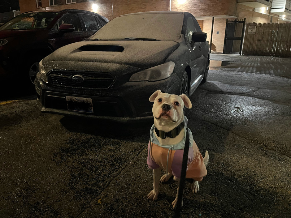 Damir G's 2019 WRX L L