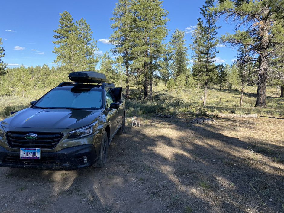 Shane M's 2020 Outback Onyx Edition XT
