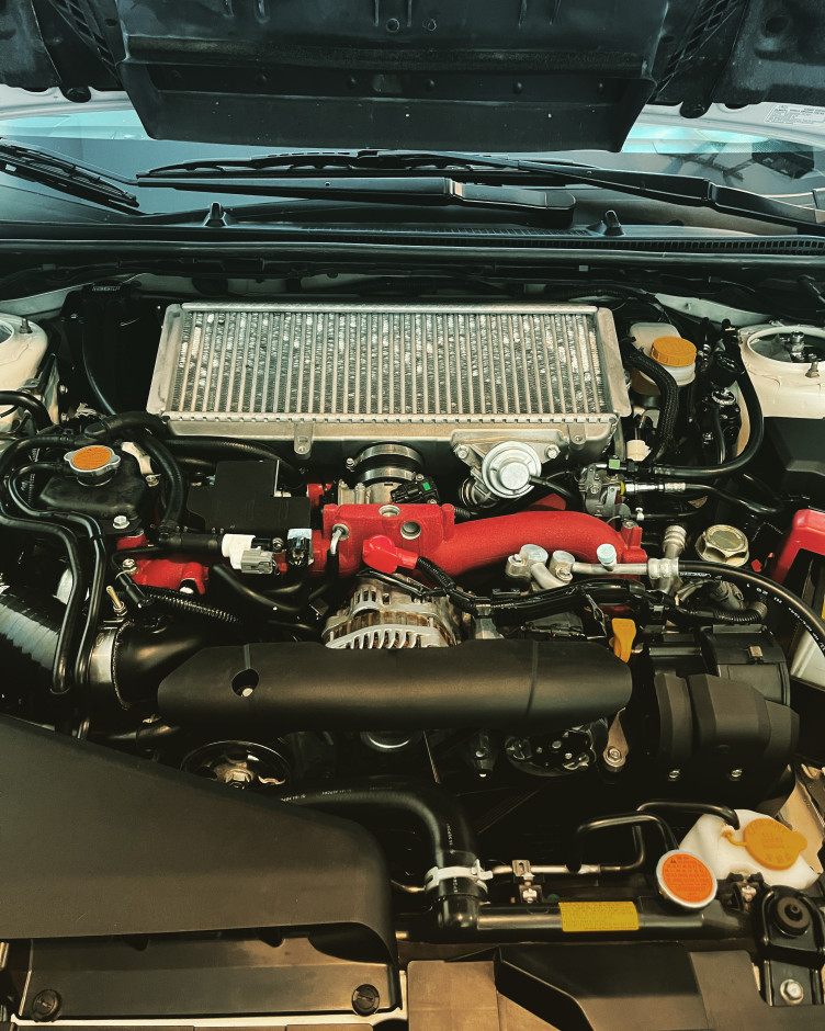 Travis S's 2019 WRX STI