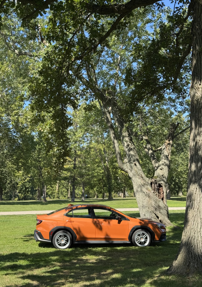 Lorenz Anthonale P's 2023 WRX Premium