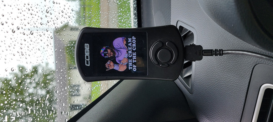 Michael S's 2020 WRX STI