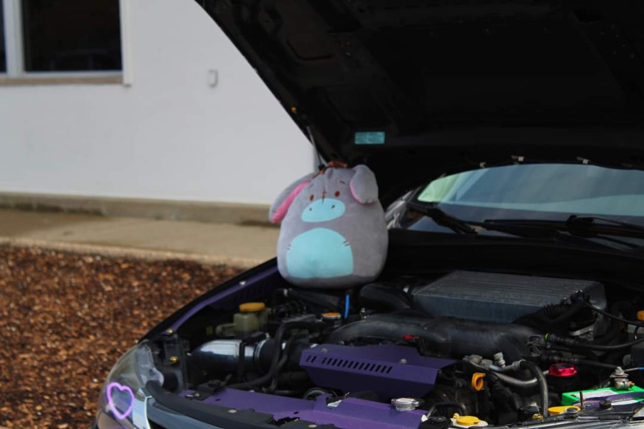 Alison Rice's 2008 Impreza WRX Premium