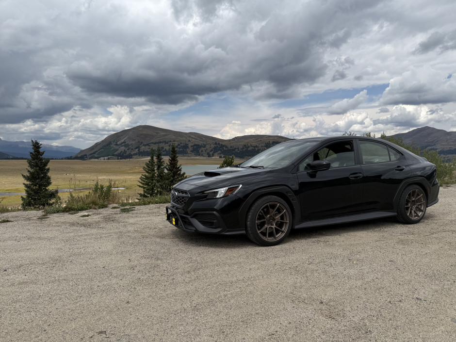 Shawna Harrington's 2022 WRX