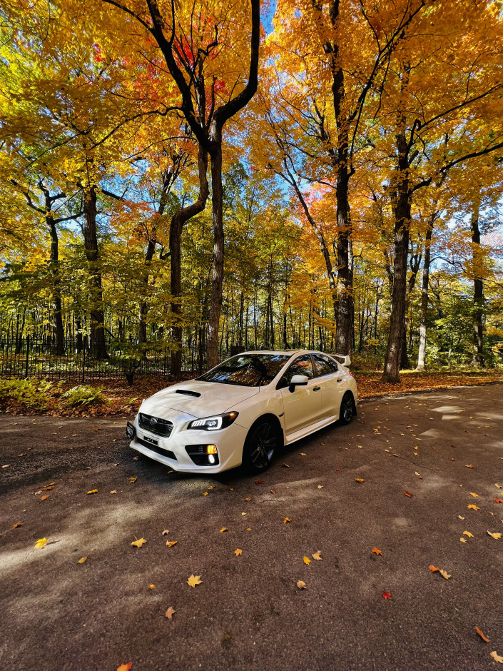 Alexis F's 2017 WRX Premium