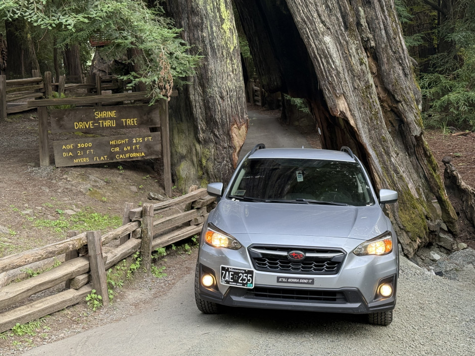 Lauren  R's 2019 Crosstrek Premium