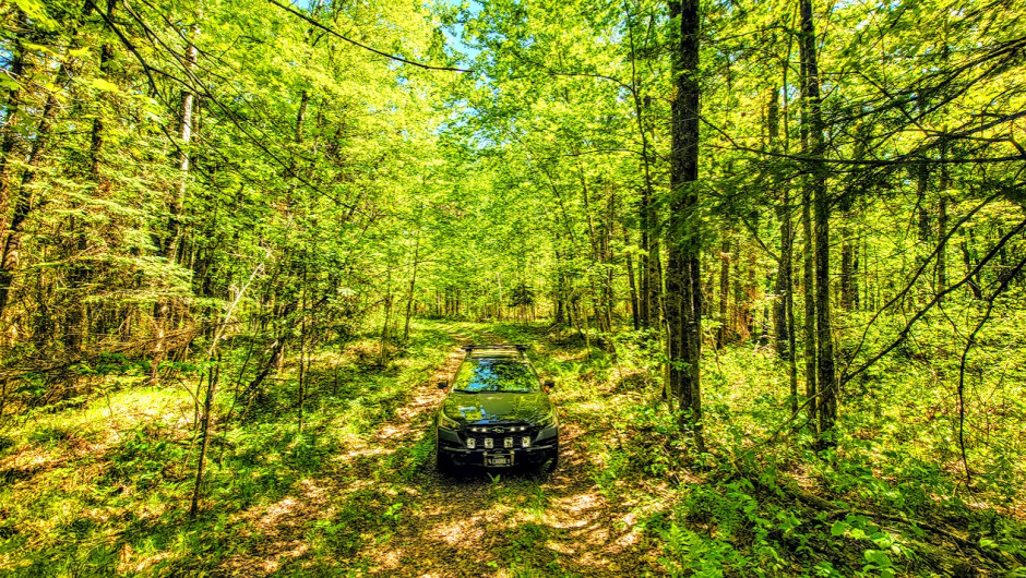 Joel T's 2022 Outback Wilderness