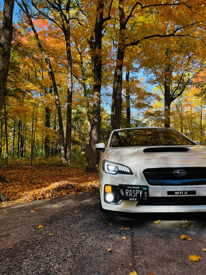 Alexis F's 2017 WRX Premium