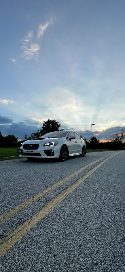 Alexis F's 2017 WRX Premium
