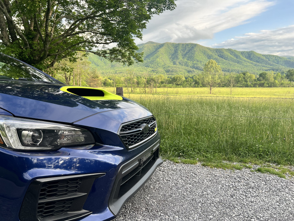 Madyson B's 2020 WRX STI