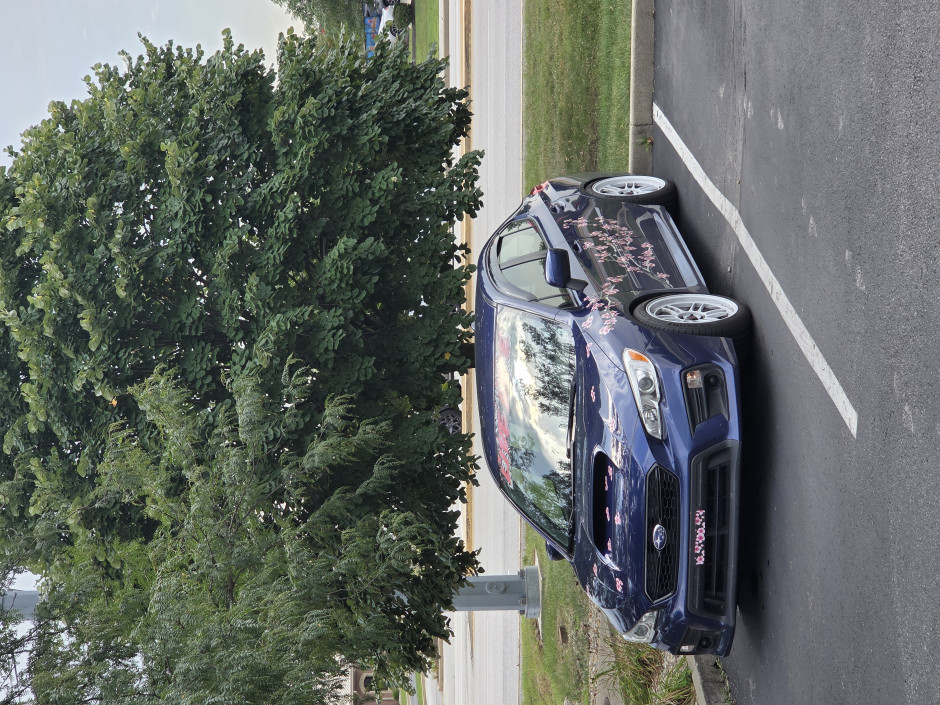 Lori V's 2021 WRX with Stuff