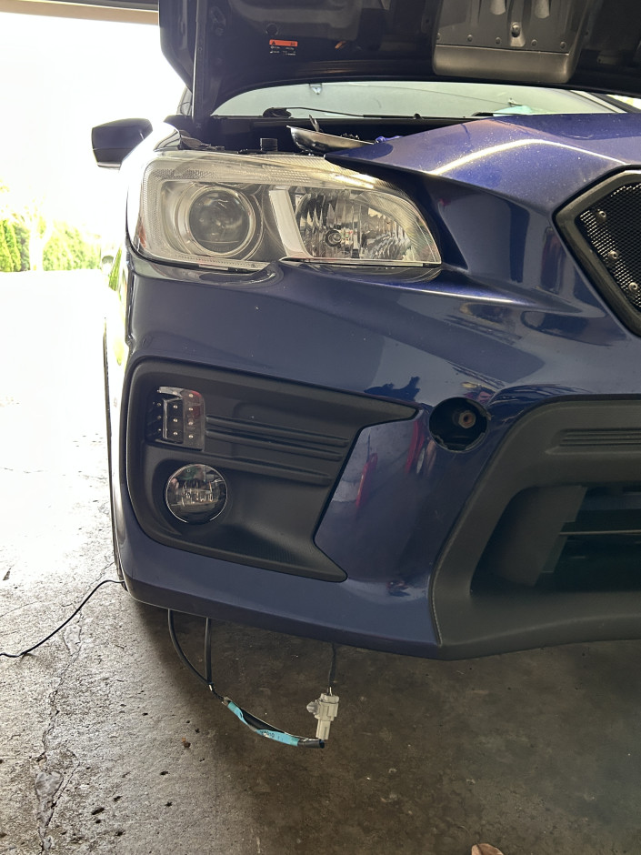 Drew K's 2019 WRX Premium