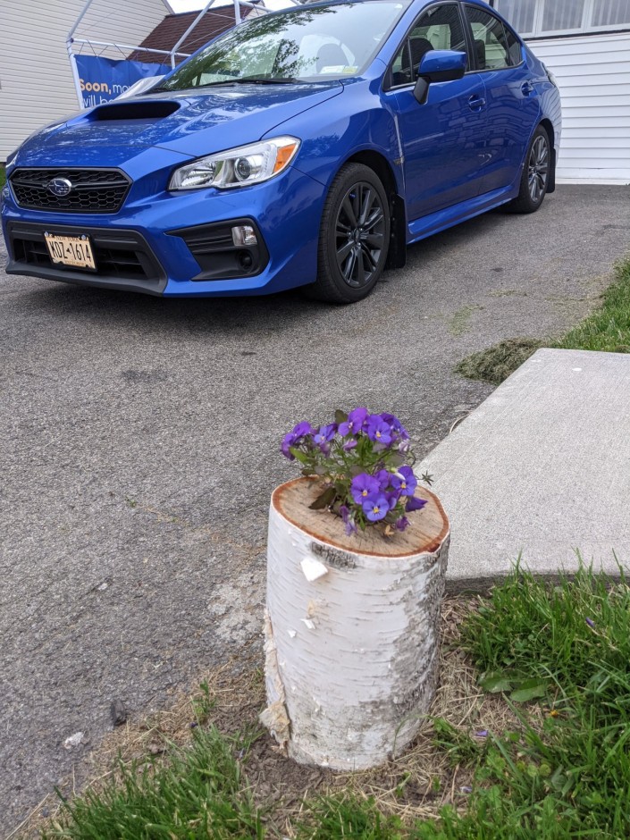 Pete W's 2020 WRX