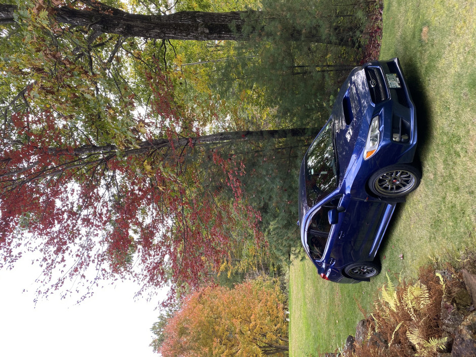 Trenton J's 2015 WRX