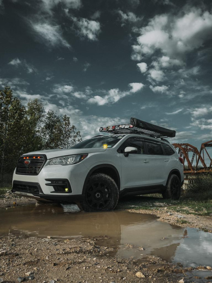 Karla M's 2019 Ascent Limited